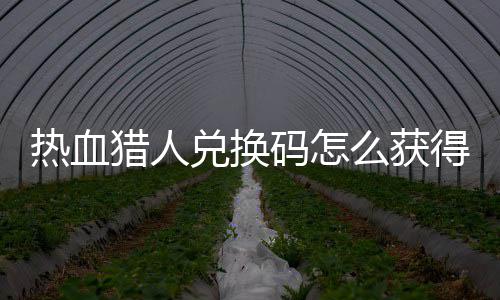 码怎么获码免猎人猎人兑换得 兑换4大费领取2全热血热血